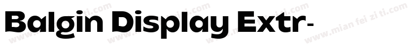 Balgin Display Extr字体转换